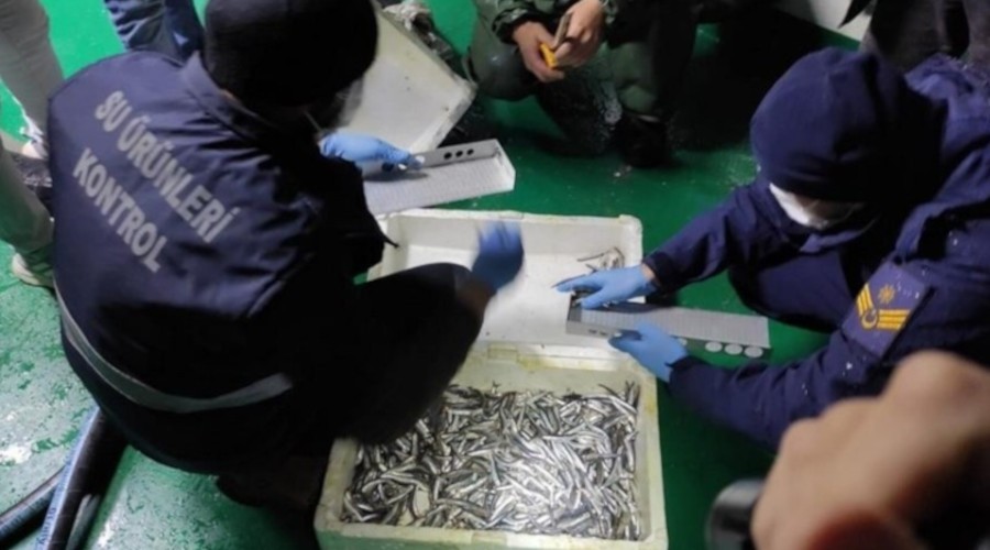35 ton ka�ak hamsi yakaland�