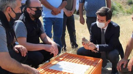 850 keklik doğaya salındı