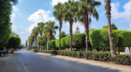 Adana terk edilmi ehre dnd