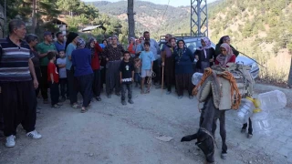 Adana'da köylüler eşek ve katır ile su taşıyor