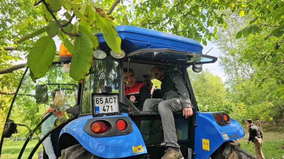 Adilcevaz'da ceviz hasadı başladı