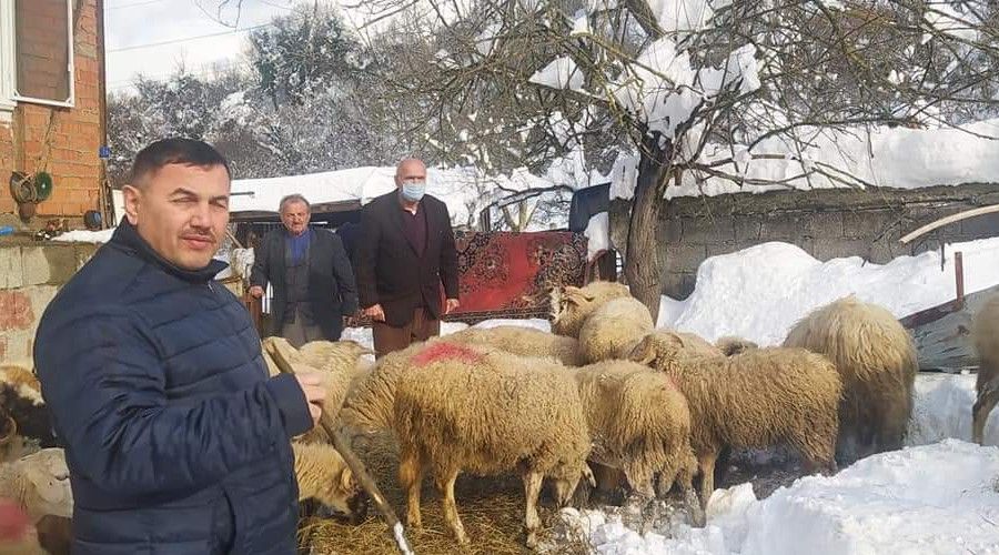 A��l ��kt� koyunlar telef oldu