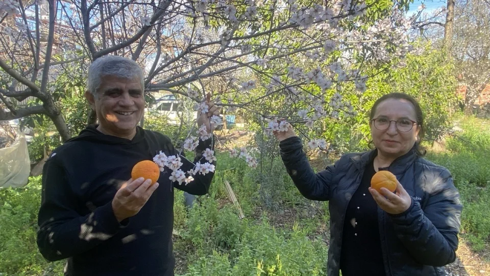 Aksu'da badem a�a�lar� �ubat ortas�nda �i�ek a�t�