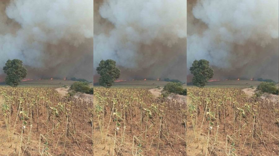 Alevler k�ye ula�mas�n diye bu�day tarlalar�n� s�r�yorlar