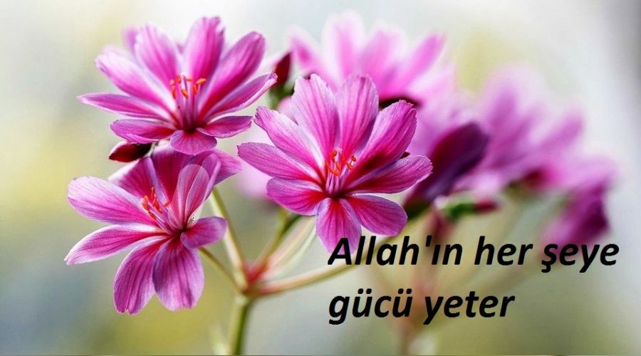 Allah'ın her şeye gücü yeter