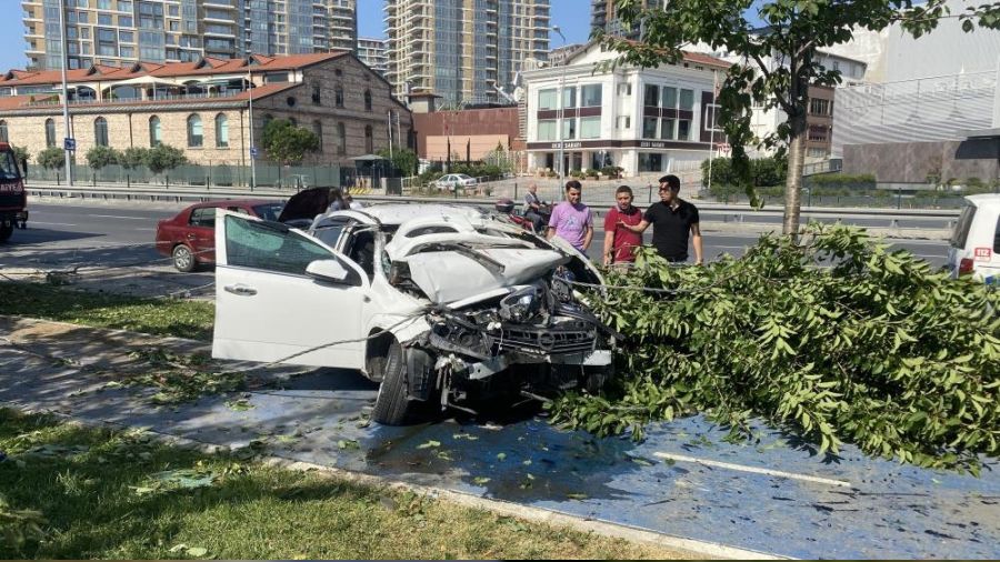 Ana-oğul ölümden döndü