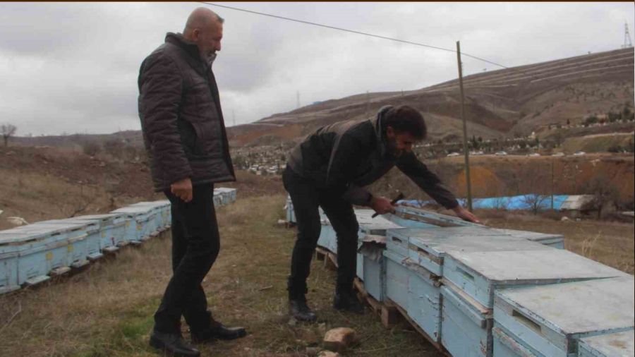 Arıcıların tek umudu bahar aylarının yağışlı geçmesi