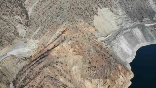 Artvin'de atıl kalan tünel mantar üretim merkezi oldu