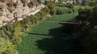 Asi nehri yeile brnd, su grnmyor