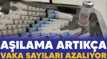 Alama artka vaka saylar azalyor 