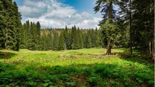 Bartn Ard Yaylas: Doann kalbinde bir nefes