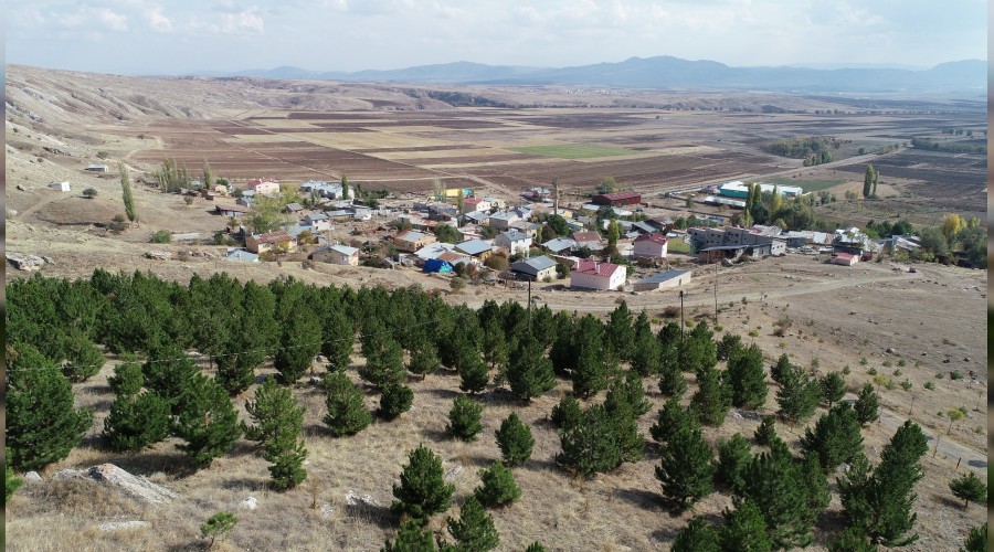 Bir dikili a�ac�m yok, diyenlere