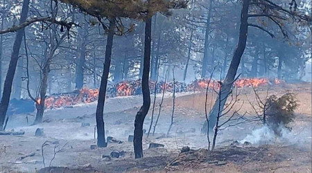 Bolu'da aynı ilçede 2 farklı orman yangını