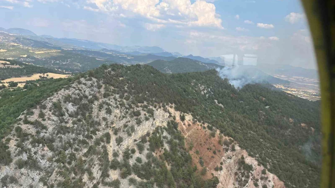 Bolu'da ��kan orman yang�n� b�y�meden kontrol alt�na al�nd�