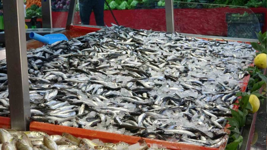 Hamsinin fiyat� 40 lira birden d��t�