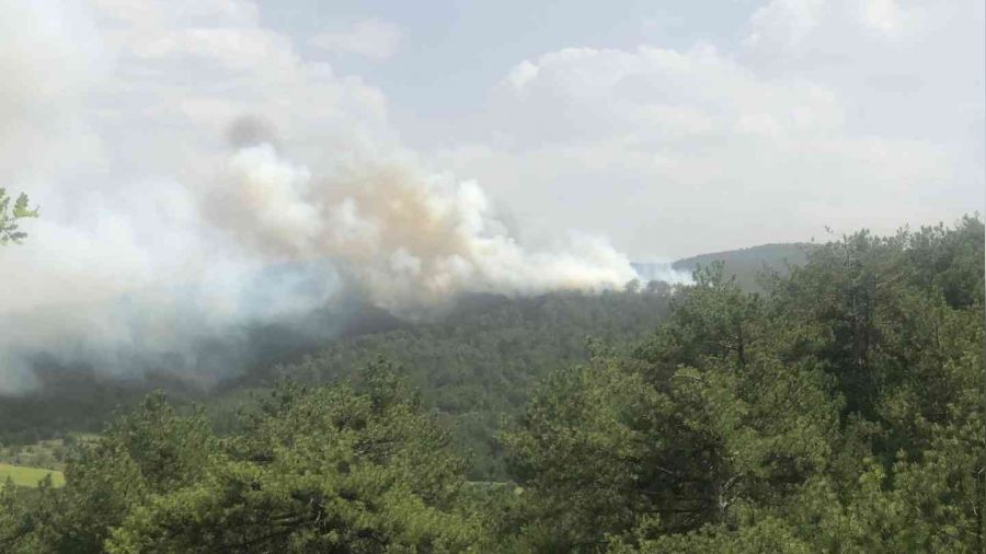 Bolu'da orman yangını
