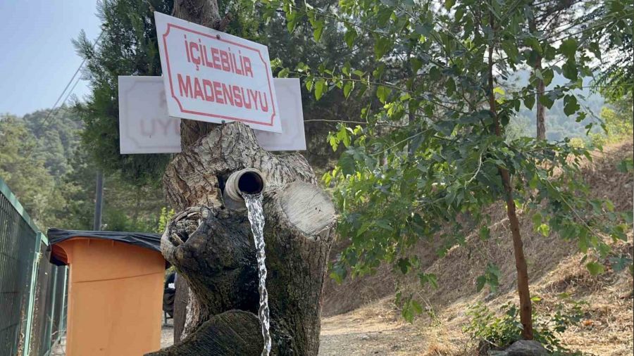 Bu maden suyu ieden deil emeden iiliyor