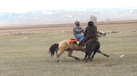 Bu sefer atlar çarpıştı