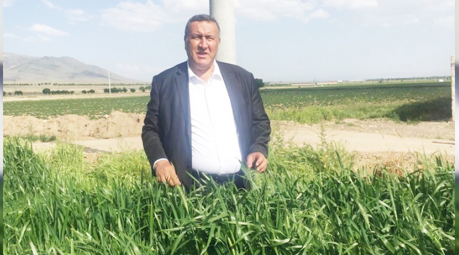 Bu�day ekim alanlar� daral�yor