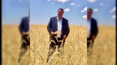 Buğdayda tehlike çanları çalıyor