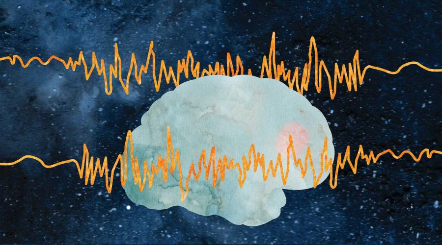 �evresel fakt�rler epilepsiyi etkiliyor