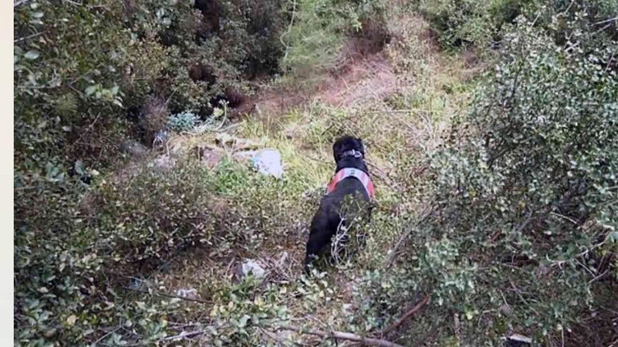 Cinayet zanlısı ormanlık alanda ölmek üzereyken yakalandı