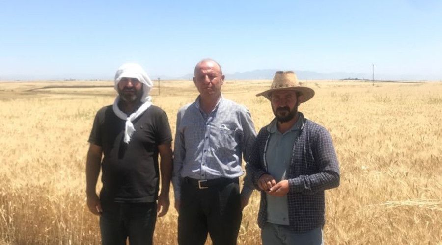 Cizre'de kuraklık tehlikesi