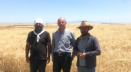 Cizre'de kuraklık tehlikesi