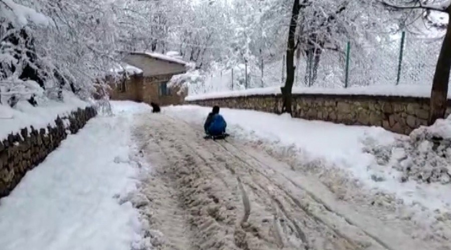 Çocukların kızak keyfi