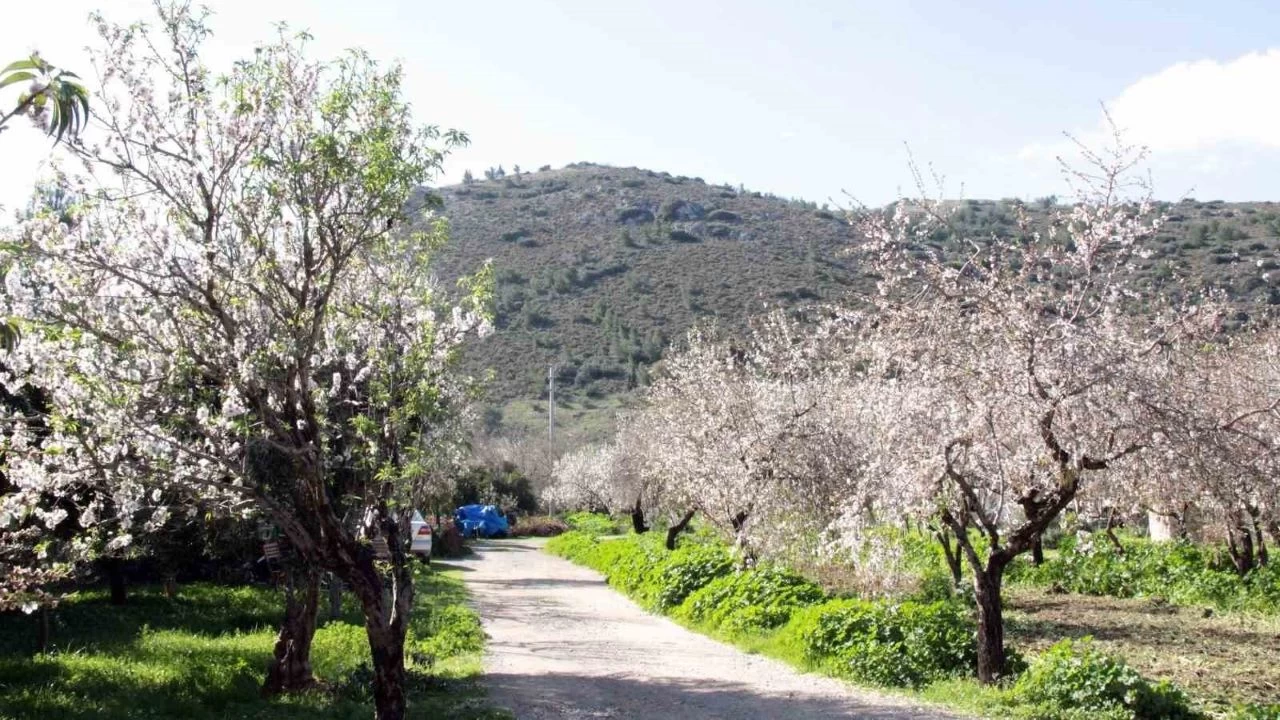 Datça beyaz gelinliğini giydi