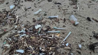 Denizin rengi deiti, plaja tbbi atklar vurdu