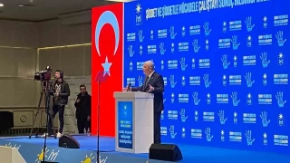 Dervişoğlu: Şiddet, bir insanlık sorunudur.