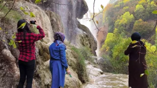 Dipsizgl elalesi sonbahar gzelliiyle mest ediyor