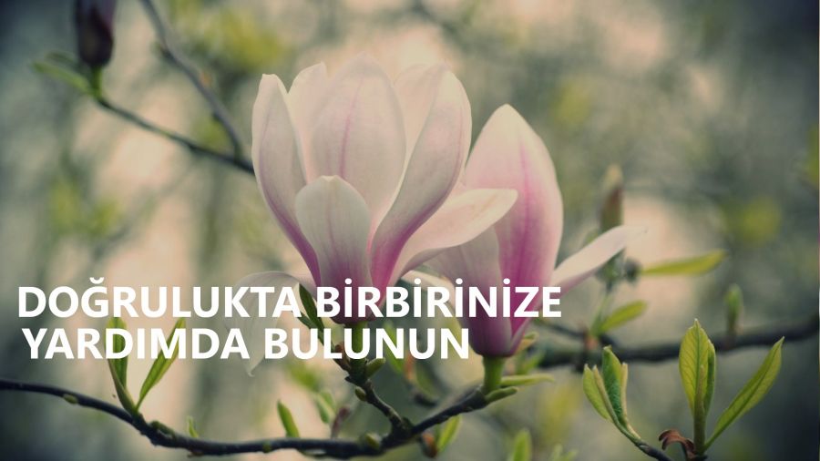 ‘Doğrulukta birbirinize yardımda bulunun’