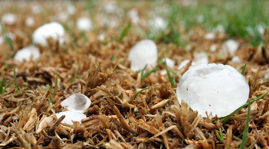 Dolu mağdurları 5 gün içerisinde sigorta şirketine baş vurmalı