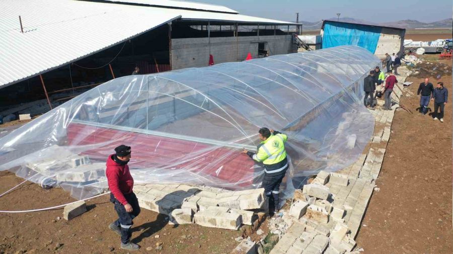 Erdemli Belediyesi a��l yapt�, hayvanlar so�uktan �lmekten kurtar�ld�