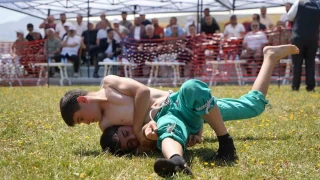 Erzurum Ovası'nda güreş festivali