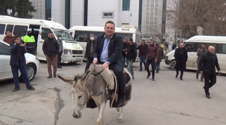 Eşekli protesto, eşekten düşünce sona erdi