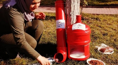 Eski damacanalar kedi yuvası oldu