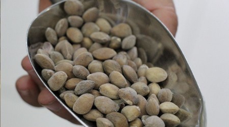 Faydaları saymakla bitmiyor, fiyatı el yakıyor