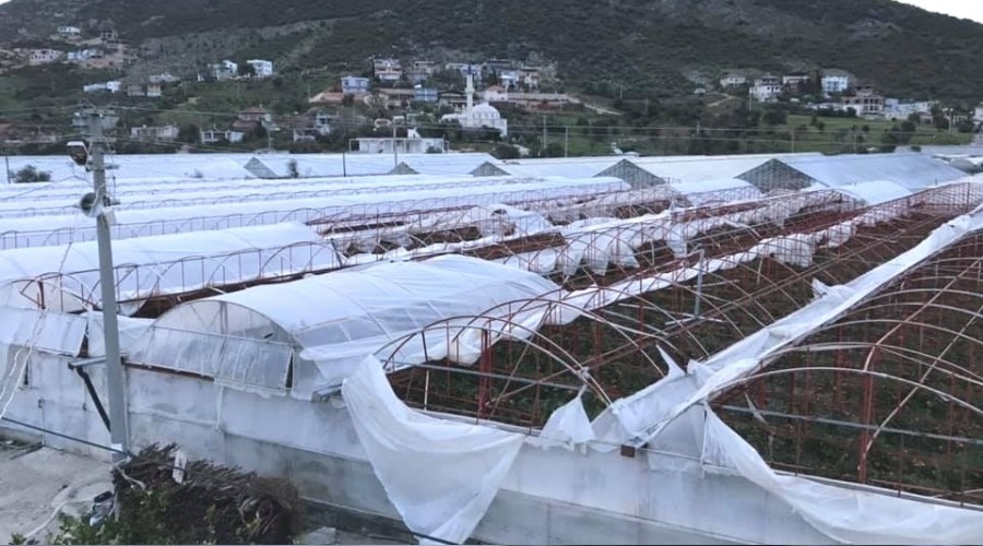 F�rt�na seralar� yerle bir etti 