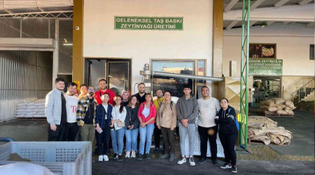 Geleceğin şefleri, zeytin hasadında