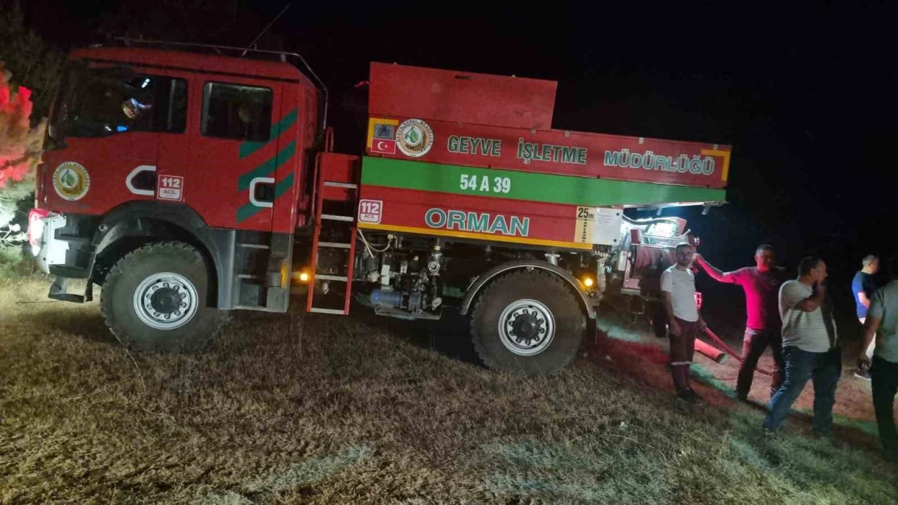 Geyve'de ��kan yang�nda 5 d�n�m alan zarar g�rd�