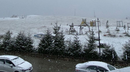 Giresun'da kar sürprizi