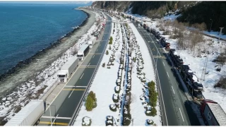 Gürcistan'daki kar yağışı, Artvin'de tır kuyrukları