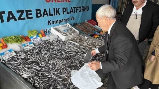 Hamsinin fiyatı İstanbul'da 89 liraya düştü