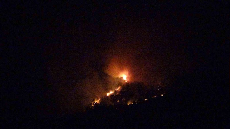 Hatay'da orman yangını