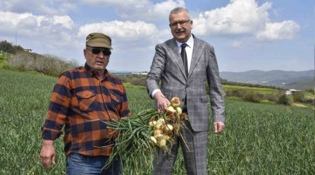 Hkmeti rahatlatacak 'soan' aklamas