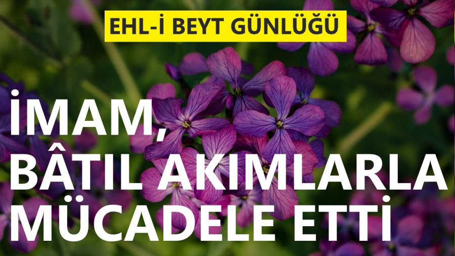 �mam, b�t�l ak�mlarla m�cadele etti