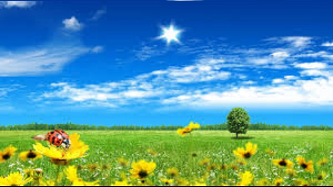 �mam R�za�n�n imaml��� fiilen �stlenmeden �nceki rol�